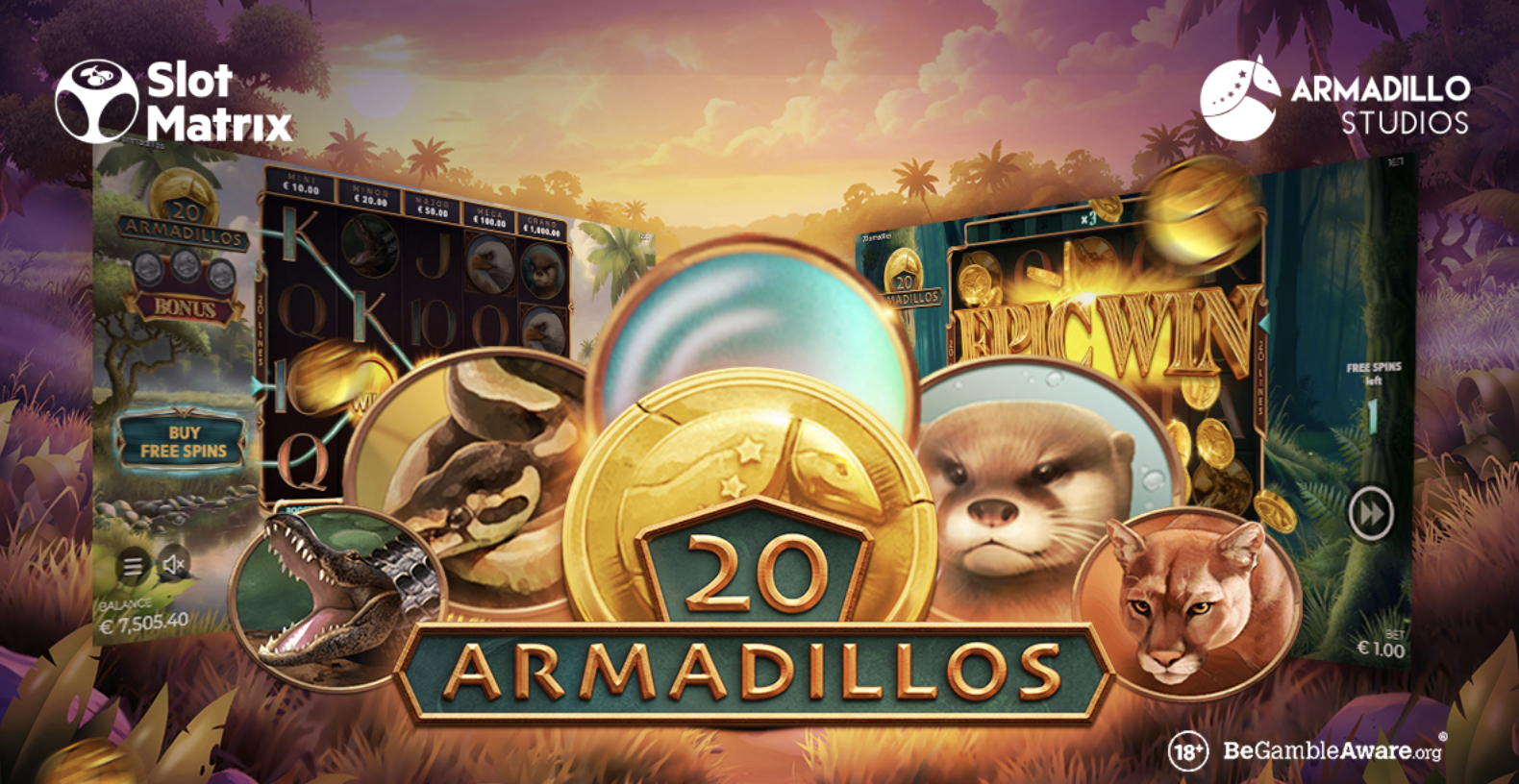 20 Armadillos